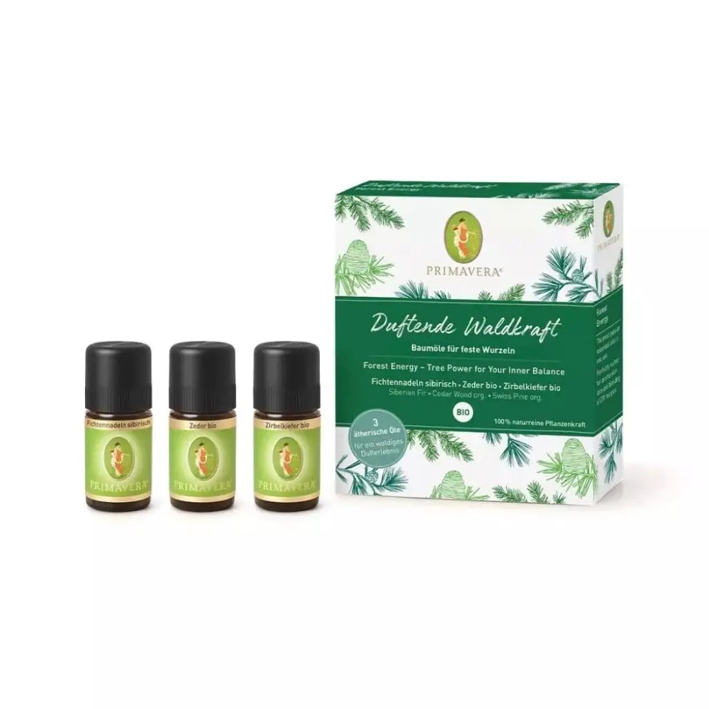 Set Duftende Waldkraft | 3 x 5 ml | Primavera | V Welt