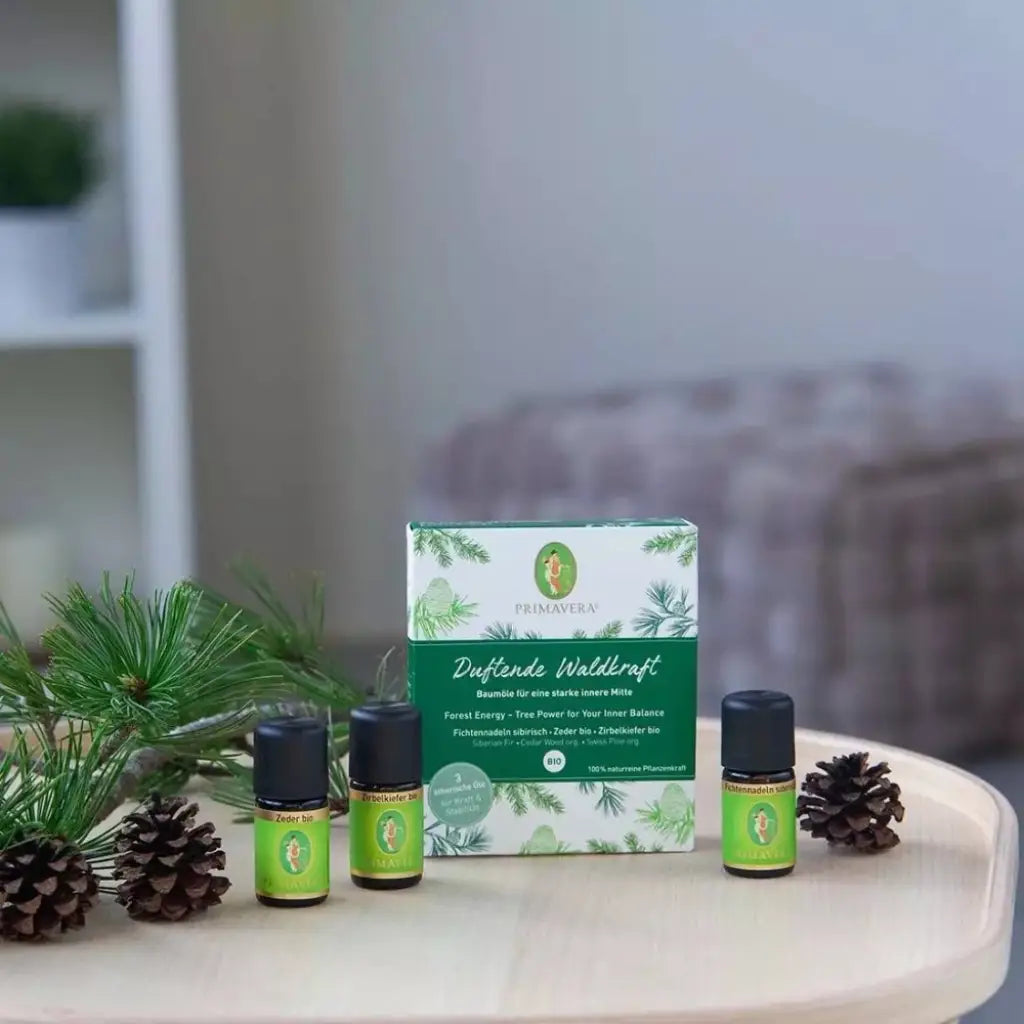 Set Duftende Waldkraft | 3 x 5 ml | Primavera | V Welt