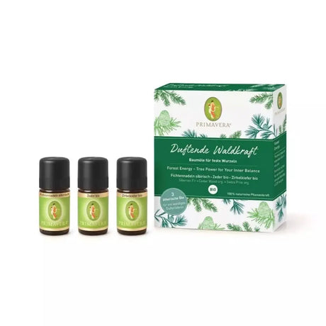 Set Duftende Waldkraft | 3 x 5 ml | Primavera | V Welt