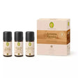 Set Aroma Sauna Kraft & Ruhe | 3 x 10 ml | Primavera | V Welt