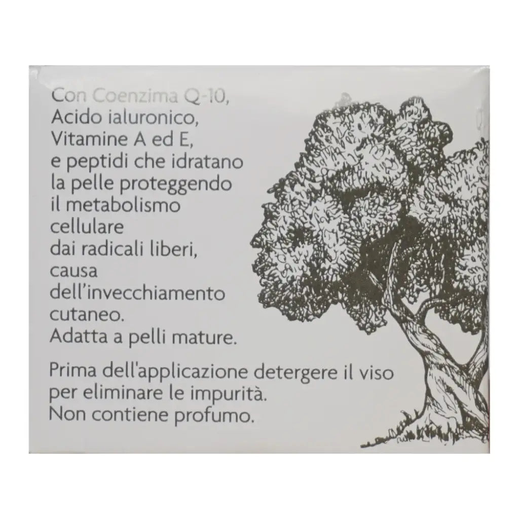 Bio Faltencreme | 50 ml | L'Olea | V Welt