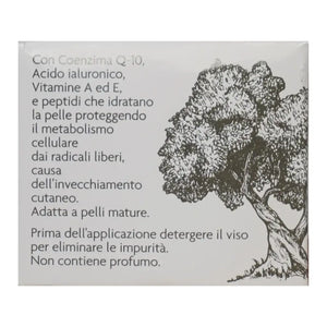 Bio Faltencreme | 50 ml | L'Olea | V Welt